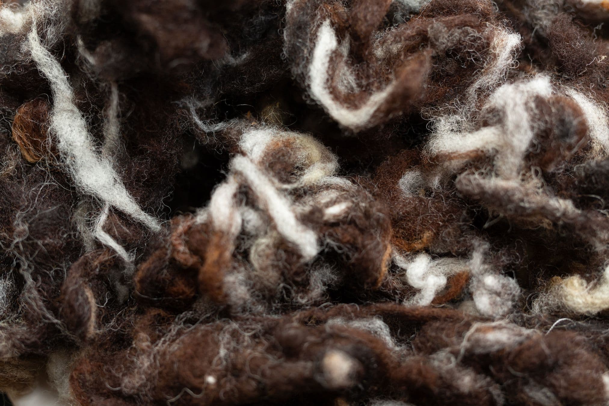 Sheep's wool filling detail